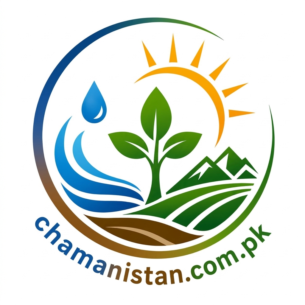 Chamanistan Logo